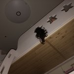 한<b>밤중</b>에 눈을 떠보니....