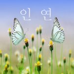 [너가봤으면] 인연