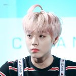 내 최애들 공통점