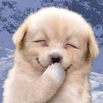 [드루와] 예쁘장하고 공학이면 고백받는거 개구<b>라임</b>