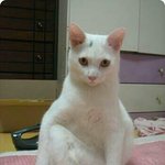 [ㅋㅋㅋㅋㅋ] 5년후 10대판 상황