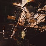 코치 <b>컬렉션</b> 참석한 블랙핑크 로제지수