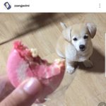 [드루와] 짱<b>절미</b> 인스타에 줄 선 김소현.jpgㅋㅋㅋ