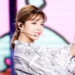 골든리트리버 같았던 그 날의 <b>정연</b>