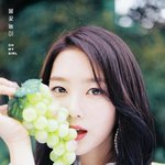 [드루와] 치과 ㅈㄴ 가기 싫다