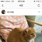 우리학교 교칙 후드집업