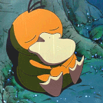 [모두드루와] 나만 <b>유라헬</b> 비호임??