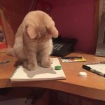 [댓글부탁해] 옴걸 아린 왜 이렇게 변함