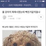 피어싱 궁금한애들 들어와