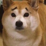 아 얘들아 <b>야자</b>하는데