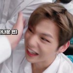[강다니엘] 사나운 즥즥이 봤냐구 ㅋㅋㅋㅋㅋㅋ