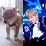 [강다니엘] 강다니엘 멈춘기 <b>vs</b> 즥춘기