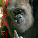 얘들아 이거 <b>절때</b> 클릭금지!ㅋ