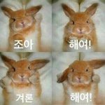 너네 인생 향수 뭐야?