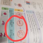[<b>공판</b>] 중3 과학 염색체 진짜 이해가 안되는뎅