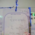나 코 ㅈㄴ 낮아 <b>미방</b> 있음