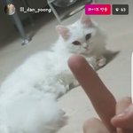[댓글부탁해] <b>단풍</b>이는 아빠가 니 아빠라서 미안해