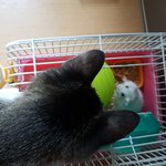 다롱이입니다~~^^