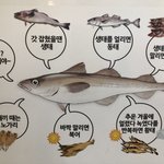 [명랑엽떡] 이름이 7개인 <b>생선</b>