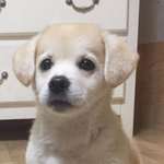[드루와] 2<b>학</b>긴데 아직 힘든 애들 있어?