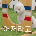 헐 방탄 빅히트 고소하고 <b>와이지</b>들어감