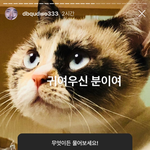 여고 다니면 <b>현타</b> 오지지 않냐