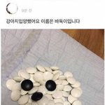 얘덜아!!!!!!!!’너네 무슨스타일 옷 <b>입음</b>