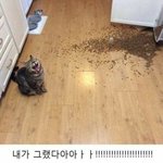 나 초딩때 어이없어ㅋㅋㅋㄱㅋ