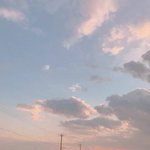 얘들아 그냥 다자이너브랜드 아닌 <b>후드</b>티