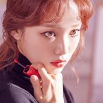 색기 특징좀 알려줘