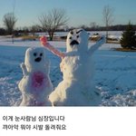 고등학교 결정 ㅅㅈㅎ