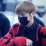 [강다니엘] 180914 강다니엘 <b>베를린</b>출국 플뷰