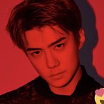 [EXO] 세훈이 이거<b>뜸</b>