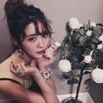 인간 고양이 <b>exid</b> 정화