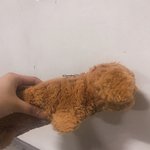 [댓글부탁해] 얘들아 너네 <b>필통</b>뭐쓰냐