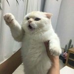 [댓글부탁해] 엄마 왜 안<b>오지</b>ㅜㅜㅜ