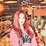 나 <b>금사</b>빠냐