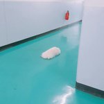 솔직히 학교에 <b>술담배</b> 안해본애들 얼마없지않냐