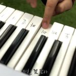 아 근데 pH-1 떨어진거 너무 아쉽다