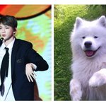 [강다니엘] 강다니엘 멋있는 안무였는데