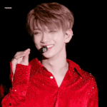 그 웹툰 <b>홍시</b>는 날 좋아해에 <b>홍시</b> 세븐틴에