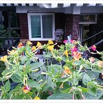 918 만국회의 4주년 기념식, 가을시, 9월의 시, 10월의 시...