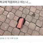 얘들아 고등학교 좀 골라줘
