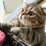[댓글부탁해] 얘드라 나 중안부 긴데ㅜㅜㅜ