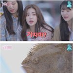 [명랑엽떡] 회 뜨는 걸그룹 <b>처자</b>