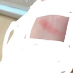 섀도우 짱예뽀