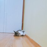 집착<b>인소</b> 너무 좋아 하앙