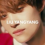 [NCT] 양양 좀 웃긴거