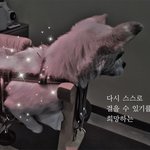 걷기 위해, 다시 살기 위한 <b>연아</b>의 노력