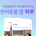 [강다니엘] 스브스 반려<b>동물</b> 앱에 녤왜거